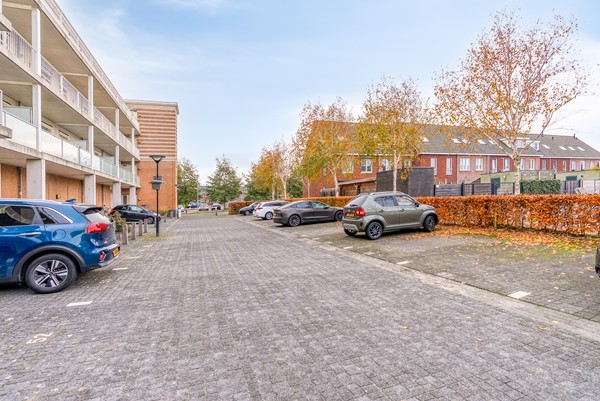 FREYJAPLANTSOEN 3-34.jpg